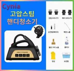 Cynia 고압 스팀청소기 핸디 고온 분사 세차기 스팀기 세척, 블랙